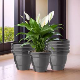 Kuber Industries Black 8 Pieces Hanging Alstroemeria Aloe Vera Artificial Flower With Pot-38