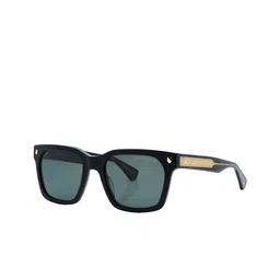 Shisen Fox Unisex Oval Sunglasses with Polarised and UV Protected Lens-26