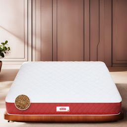 COIRFIT White & Maroon Quilted Cotton Orthopedic King Size Mattress-image-47