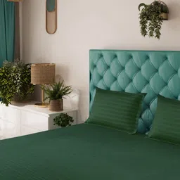 Status Green Striped 144TC Fitted Solid King Bedsheet with 2 Pillow Covers- 2.2mx2.4m-image-33