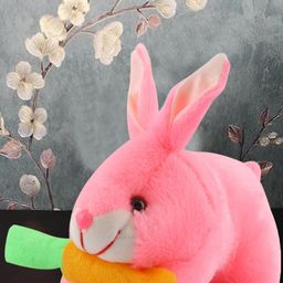 FIMS Polyester Filled Non-Allergic Soft Toy Soft Toys and Dolls-6