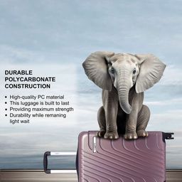 Luggero ETERNAL Set Of 2 Textured Hard Sided Trolly Suitcase image 5