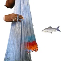3finger 65mm gillnet mud sinker hight 6 feet,up lenth 50feet, down lenth 80feet Fishing Net-25
