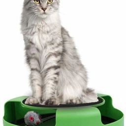 Catch The Mouse Cat Scratcher Interactive Toy with a Running Mice and a Scratching Pad for Cats & Kittens (Green, Catch The Mouse) PP (Polypropylene) Fetch Toy For Cat-image-92