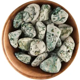 Reiki Healing, Vastu Correction and Crystal Healing Tree Agate Tumble 150Gram Polished Round Crystal Stone-22