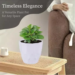 Kuber Industries 6Pc White & Green Barfi Pattern Durable Plastic Planters image 5