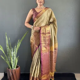 DIVASTRI Ethnic Motifs Woven Design Saree-picture-39