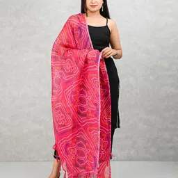 Apratim Printed Dupatta-picture-51