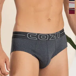 Lux Cozi Men Pack Of 4 Basic Briefs COZI_1124_LUXURY_AST_4PC-picture-15
