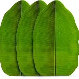 Melamine Banana leaf Serving tray snakes Tray-17