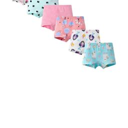 Teri Beri Set Of 6 Low-Rise Cotton Hipster Briefs-picture-31
