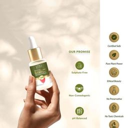 Lotus Botanicals Set Of 3 Ultra Glow & Hydration Boosting Serum - 14 ml Each image 3