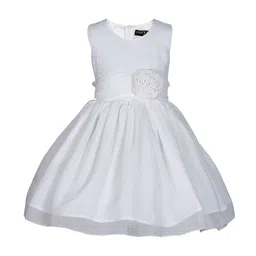 Wish little Chiffon A-Line Dress-32