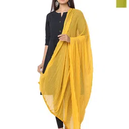 HELLA FASHIONS Selection Of 2 Chiffon Dupattas-picture-16