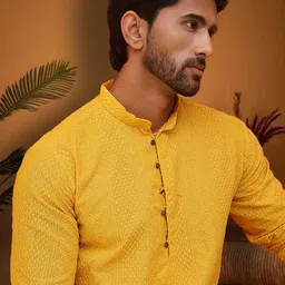 Jompers Men Embroidered Chikankari Mandarin Collar Straight Cotton Kurta-picture-25