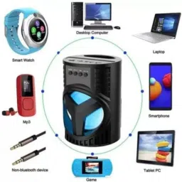 IMMUTABLE Ws03/Lz4103 new Bluetooth speaker with karoke mic T17 10 W Bluetooth Home Audio Speaker image 5