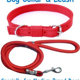 Dog Belt Combo of 1 inch Red Dog Collar with Red Lead Specially for Medium Breeds Dog Collar & Chain-image-25