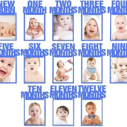 New Born 1st Birthday Baby Photo Banner Blue / Growth Record 1-12 Months / Monthly Milestone Photo Bunting Wreath, First Birthday Party Decoration - Blue Banner-image-14