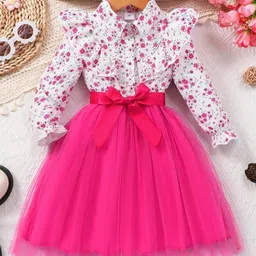 Miss & Chief Floral Print Net A-Line Dress-28