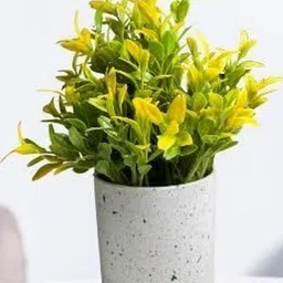 De Gardenia Yellow 1 Pieces Ivy Artificial Plant With Pot-picture-1