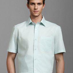 Louis Philippe Men Classic Spread Collar Textured Cotton Formal Shirt-image-19