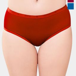 Trylo Pack Of 3 Assorted Seamless Hipster Briefs RIZA KOMAL PANTY-ASSORTED COLOURS-2XL-14