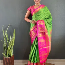 Panzora Woven Design Zari Saree-image-62