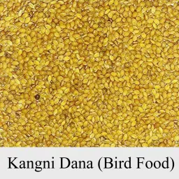 Kangni Dana For Budgies, Lovebirds, Cockatiels, Canaries, Finches etc 0.4 kg Dry Adult, Young, Senior, New Born Bird Food-picture-20