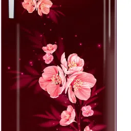 180 L Direct Cool Single Door 4 Star Refrigeratorwith Large Vegetable Tray And 2.25 L Bottle Space-image-72