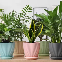 5 Pack Flower Pots Outdoor Indoor Planters with Drainage Hole and Tray Saucer Plastic Vase-23