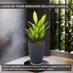 RUBOXA Plain Tower 6-Pcs White & Grey UV-ProtectedPlanters image 5