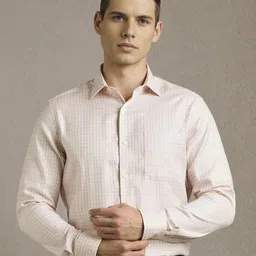 Louis Philippe Checked Long Sleeves Pure Cotton Formal Shirt-picture-30