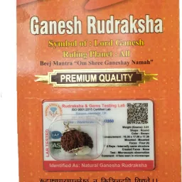 Ganesh Mukhi Rudraksha Original Certified Lab Test & X-ray Report Sterling Silver Wood Pendant-image-1