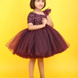 Modish Net Fit & Flare Dress image 2