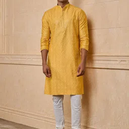 Tasva Geometric Embroidered Sequinned Mandarin Collar Straight Kurta With Churidar-picture-46