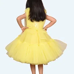 Modish Net Fit & Flare Dress image 5