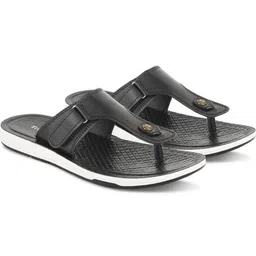 Trump Men Brown Flip Flops-image-61