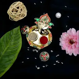 Rakhi Combo for Brother with Dish, Pooja Coin, Roli Chawal & Greeting Card-58