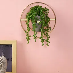 Myntra Elegant Homes White 1 Pieces Hanging Artificial Plant With Pot-31