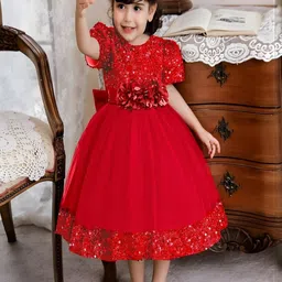 DP FABRICS Net Dress-picture-27