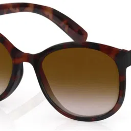 UV Protection Cat-eye Sunglasses (Free Size)-image-16