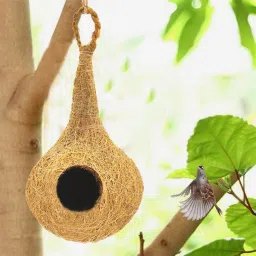 liveonce NATURAL BIRD NEST WITH HANGING HOOKS U CAN PLACE ANYWHERE Bird House image 4