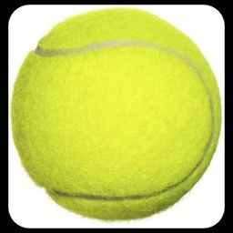 New-JS _151Pack of 6 Tennis Ball-image-74