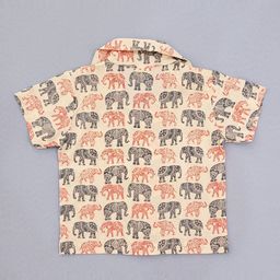Freesia Array Unisex Kids Printed Night suit image 4