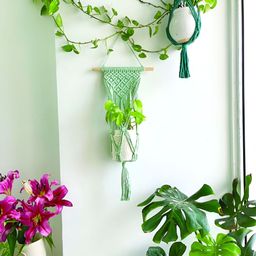 Story of Knots Green Pure Cotton Macrame Wall Hanging Planter-57