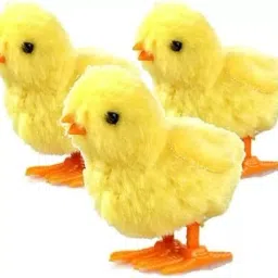 Wind-Up Jumping Plush Cute Small Chicken Toy for Kids - Fun and Adorable Gift-image-83