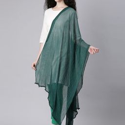 Souchii Dupatta with Phulkari-38