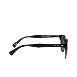 Walrus Men Wayfarer Sunglasses with Polarised and UV Protected Lens image 5