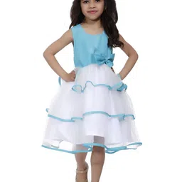 Wish little Net A-Line Dress-9