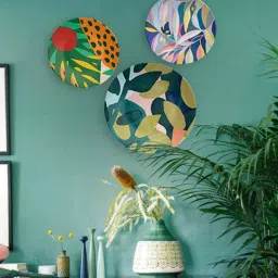 quirk india Multicolour American Style Decorative Wall Plates- Set Of 3-picture-18